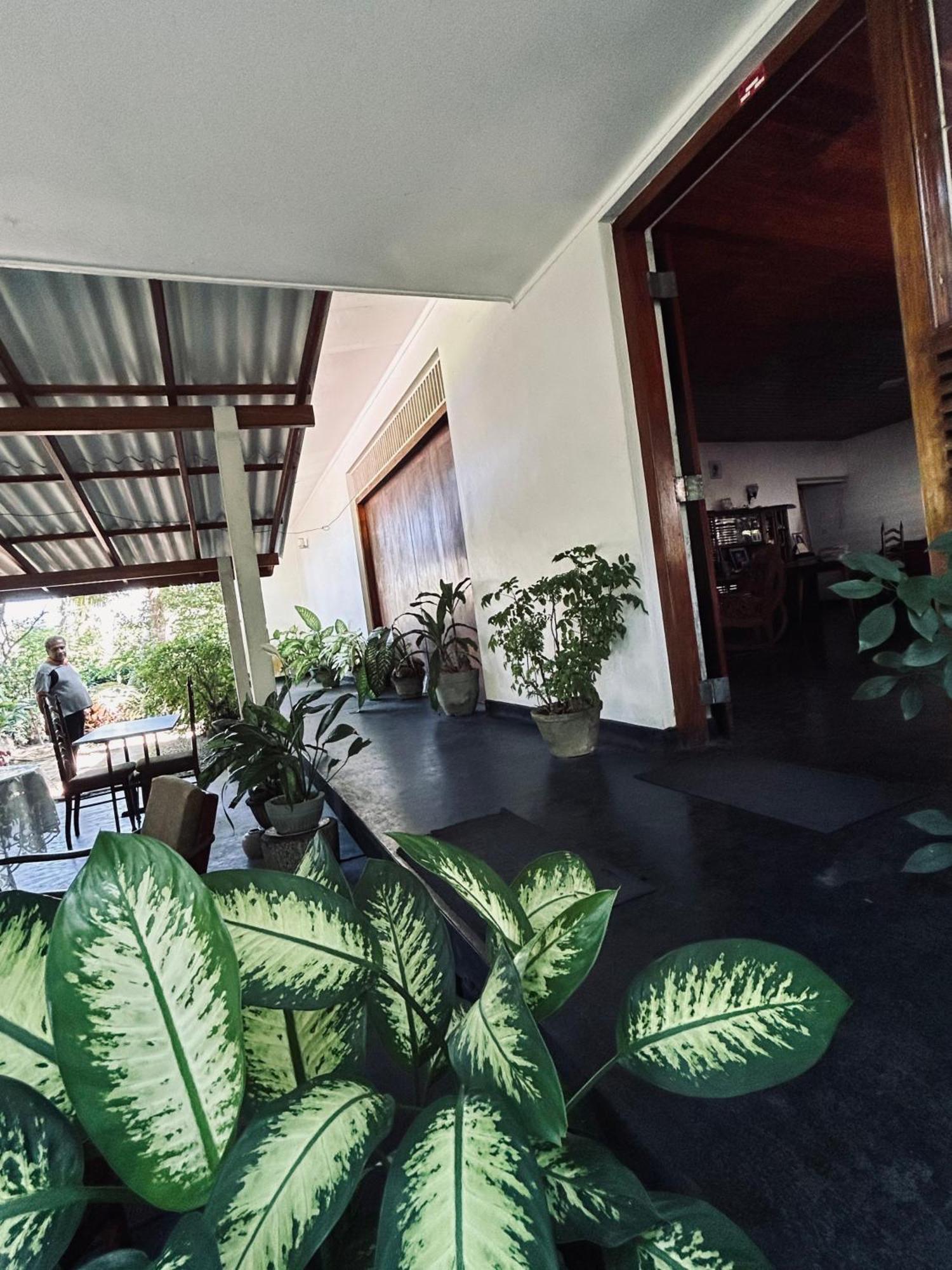 Green Corridor - Ahangama Exterior photo